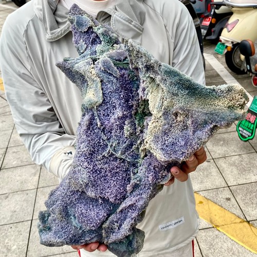 71lb natural purple - purple, grape