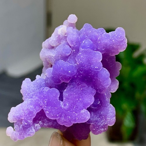 31g natural purple - natural, grape