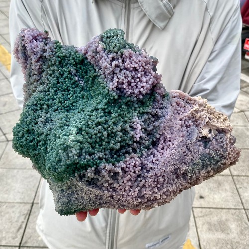 13lb natural purple - natural, grape