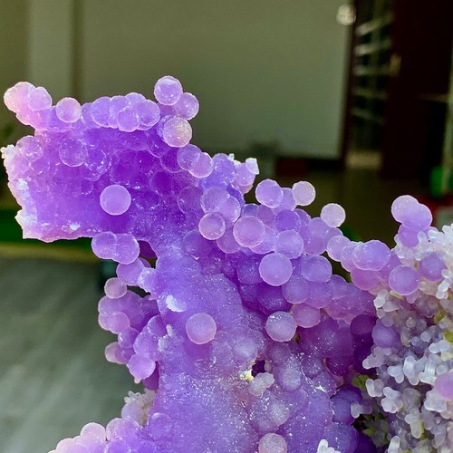 24lb natural purple grape - 5.24lb,
