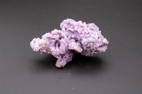 Natural purple grape - natural,