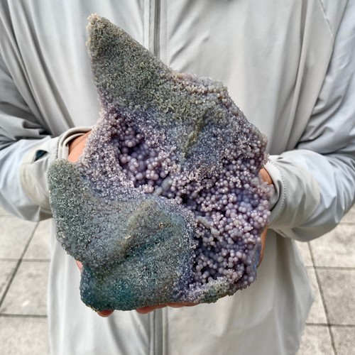 27lb natural purple grape - natural,